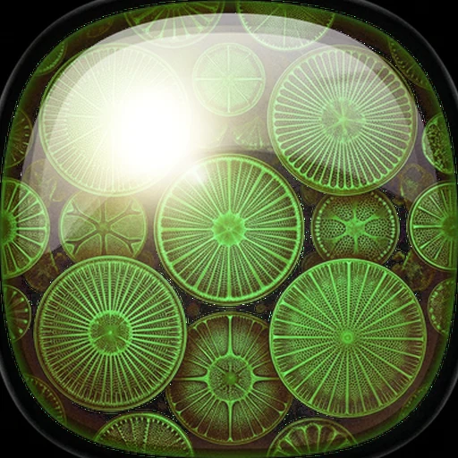 Vcacab