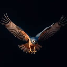 THEBIRD UNSTOPABLE