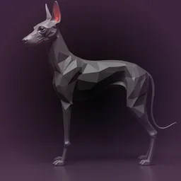 risa de perro